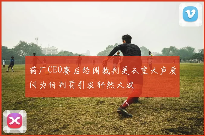 药厂CEO赛后怒闯裁判更衣室大声质问为何判罚引发轩然大波